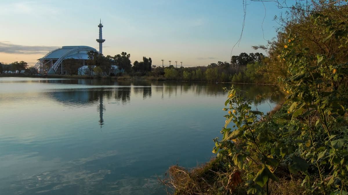 La transformación de este antiguo basural clandestino en un refugio de flora y fauna representa mucho más que una obra de recuperación paisajística.