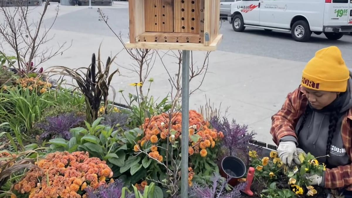 Hoteles y búnkeres para abejas en Nueva York. Foto: EFE.