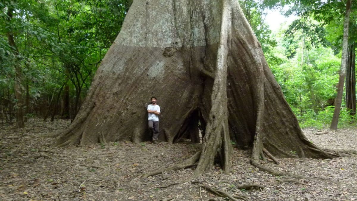 Preocupa el cambio climático en la Amazonia. Fuente: EFE