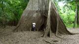Un estudio revela el preocupante cambio del ciclo de las lluvias en la Amazonía