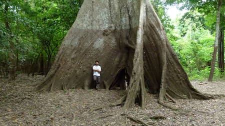 Un estudio revela el preocupante cambio del ciclo de las lluvias en la Amazonía