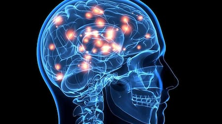 Psicopatología, foto policlinicacomarcaldelvendrell.es