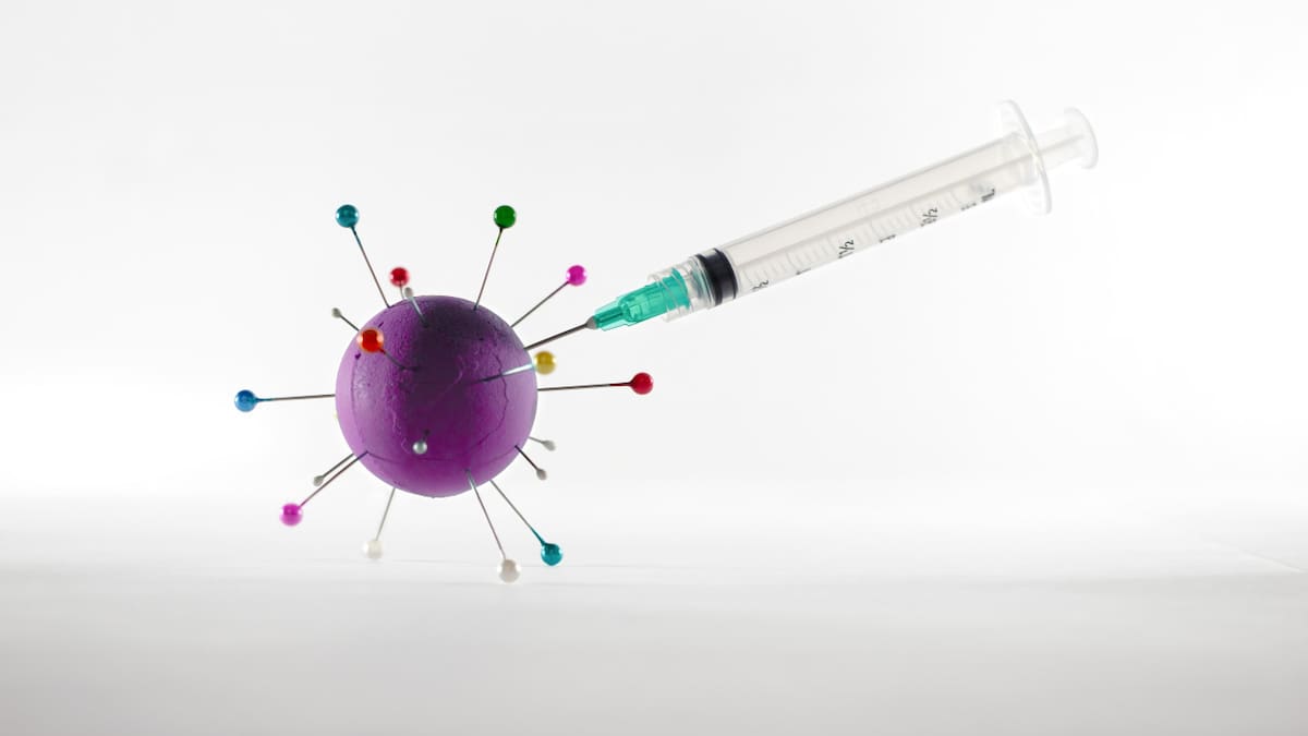 La OMS alerta de un peligroso brote de ántrax. Foto: Unsplash