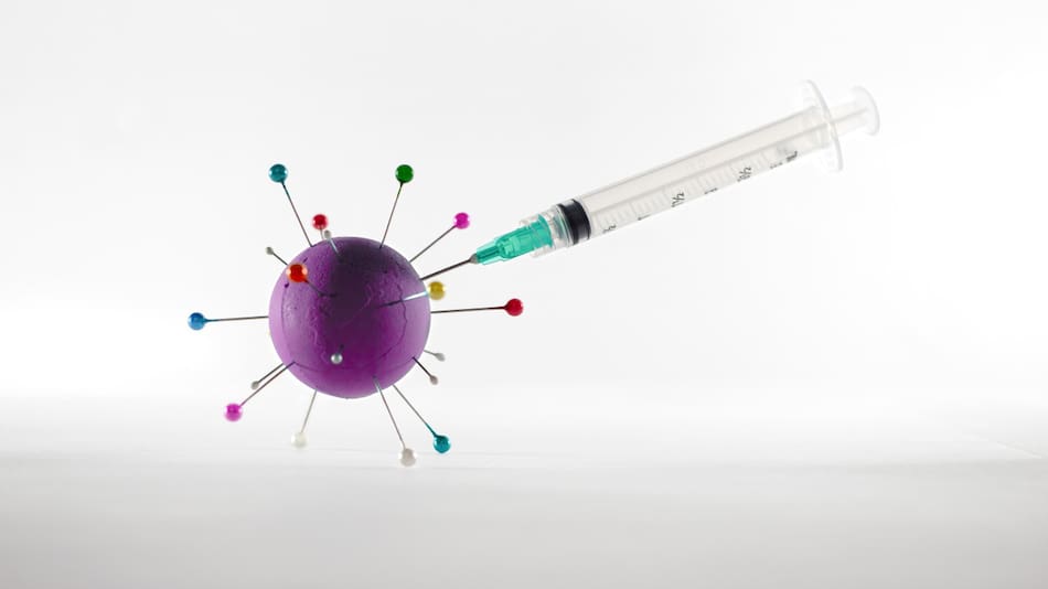 La OMS alerta de un peligroso brote de ántrax. Foto: Unsplash