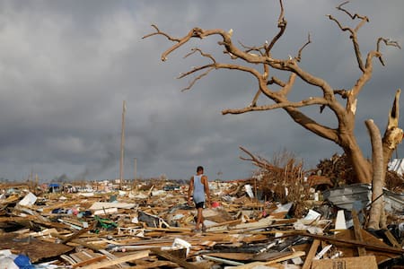Catástrofes naturales. Foto: Reuters