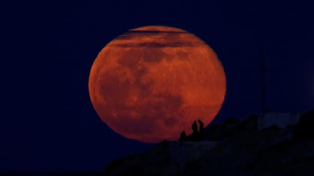 Luna de Nieve, Reuters