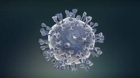 Coronavirus, captura Reuters