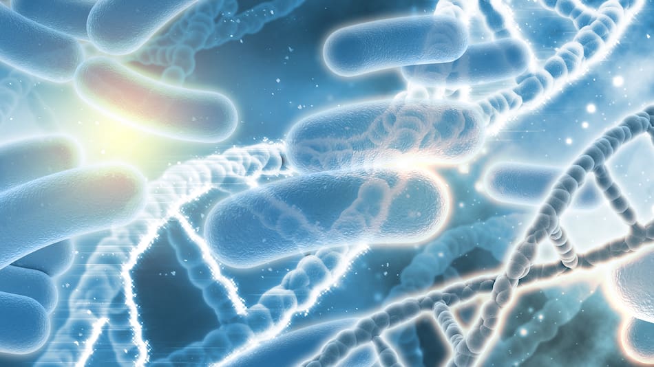 Cuáles son los efectos negativos del uso de antibióticos según la OMS