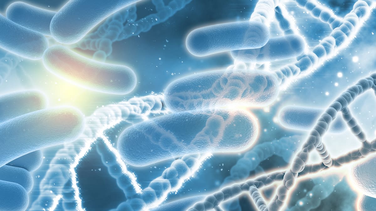 Amenaza a la salud mundial: cuáles son los efectos negativos del uso de antibióticos, según la OMS