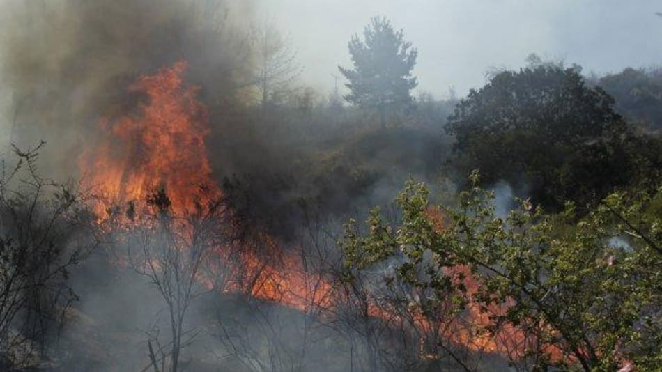 Incendios forestales en Chile