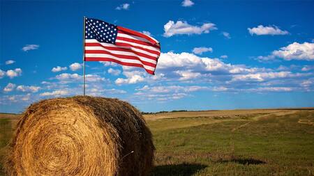 Estados Unidos, rebelión en la granja, Manuel Castro.