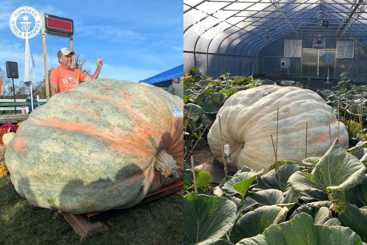 El agricultor estadounidense Ron Wallace, de 60 años, alcanzó su tercera marca histórica tras más de tres décadas de experiencia.