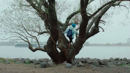 Know your stones. Festival Internacional de Cine Ambiental. Foto: Prensa