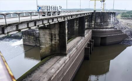 Sequía en Uruguay. Foto: Twitter.