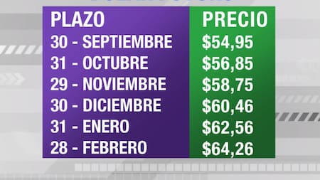 Dólar futuro, cotizaciones septiembre 2019 febrero 2020, economía argentina, CANAL 26