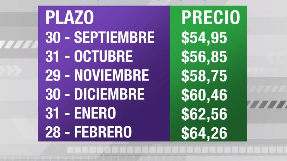 Dólar futuro, cotizaciones septiembre 2019 febrero 2020, economía argentina, CANAL 26