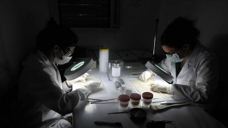 Digitalizacion de archivos de la Dictadura por parte del Ministerio de Defensa