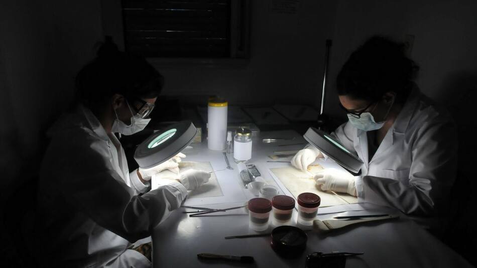 Digitalizacion de archivos de la Dictadura por parte del Ministerio de Defensa