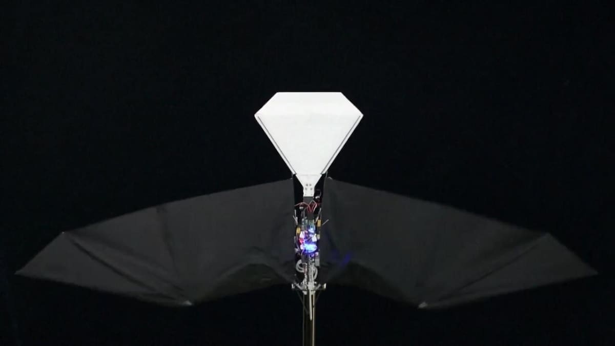Nuevo avión chino que vuela cómo un ave. Foto: Captura de video
