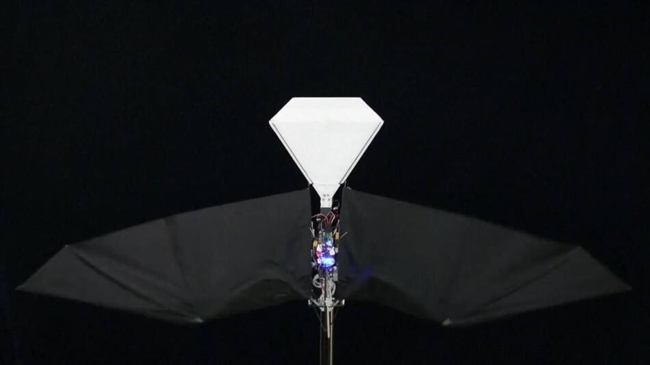 Nuevo avión chino que vuela cómo un ave. Foto: Captura de video