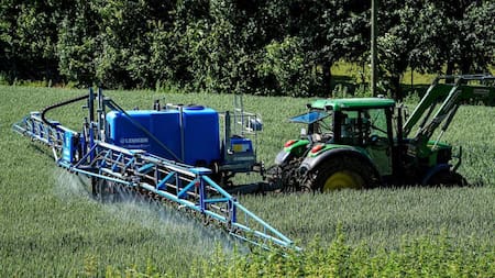 Glifosato en Gualeguaychú: el herbicida que enferma y mata podrá volver a usarse tras un fallo de la Justicia de Entre Ríos