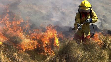 Incendios en Córdoba. Foto: NA