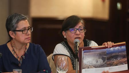 Cecilia Navarro (d), y la representante de la Fundación Heinrich Böll, Dolores Rojas, durante una rueda de prensa en Ciudad de México. EFE