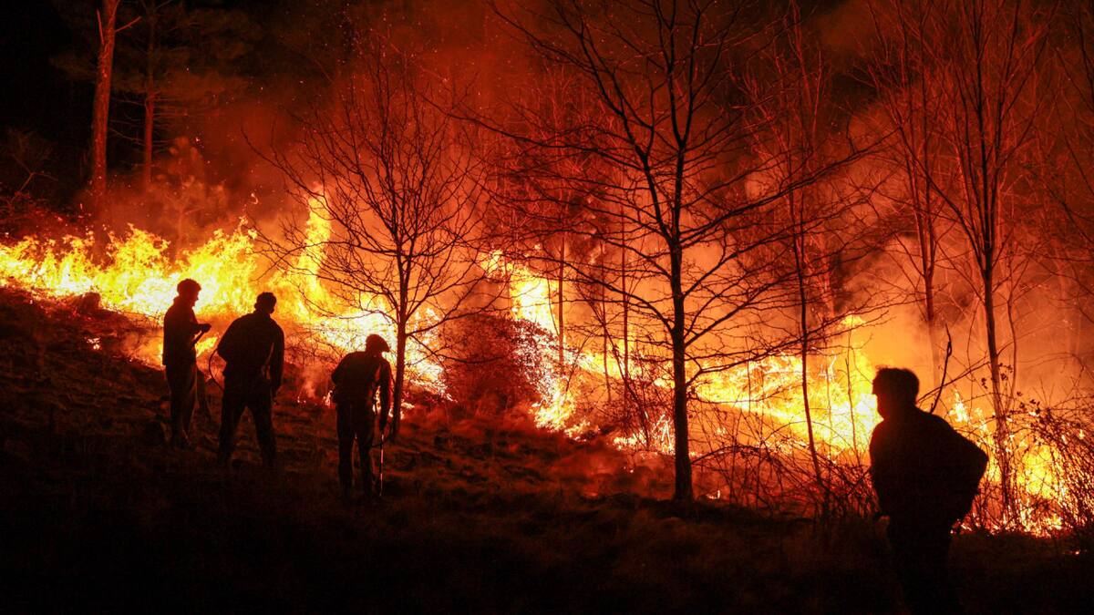 Incendios en Córdoba. Foto: EFE