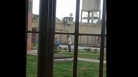 Rugbiers condenados por el crimen de Báez Sosa cortando el pasto en Melchor Romero. Video: NA.