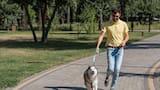 Paseadores de perros oficiales: cómo obtener la habilitación y dónde tramitarla