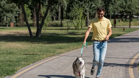 Paseador de perros.