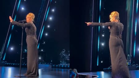 Adele tuvo que frenar el show para defender a un fan. Fotos: captura.