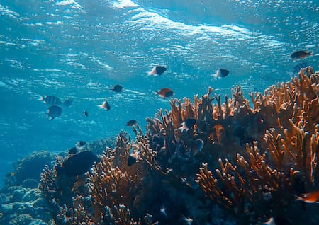 Océano, mar, agua. Foto: Unsplash