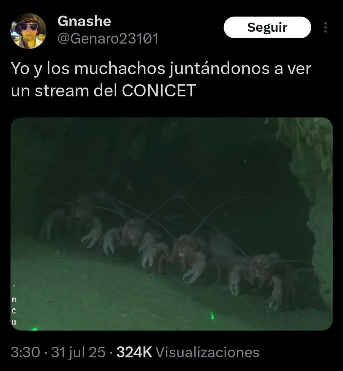 Memes del stream del CONICET que causa furor.