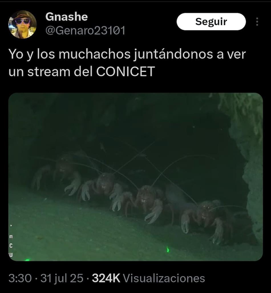 Memes del stream del CONICET que causa furor.