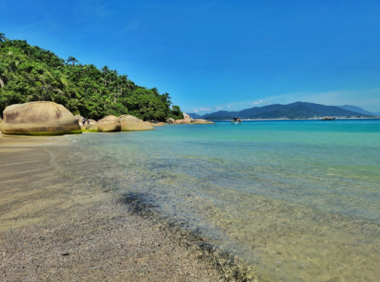 Ilha do Campeche, Brasil. Foto: captura Google Maps.
