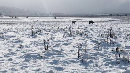 Cuatro provincias argentinas están bajo alerta por fuertes nevadas en Argentina.