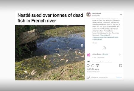 Río contaminado por Nestlé. Foto: Instagram @savethereef.