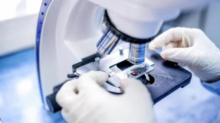 Antioxidante popular podría alimentar el cáncer: un estudio científico revela toda la verdad