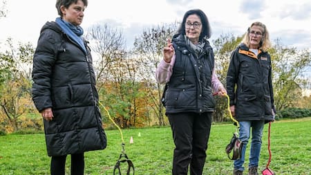 Cuál es la nueva moda de pasear con perros imaginarios