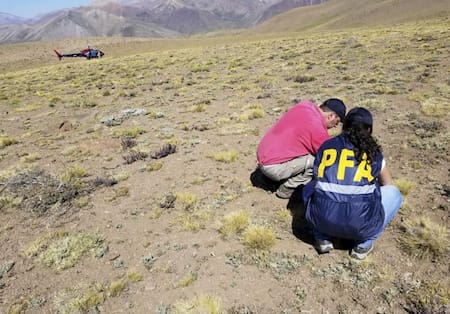 Animales envenenados en Mendoza - NA -