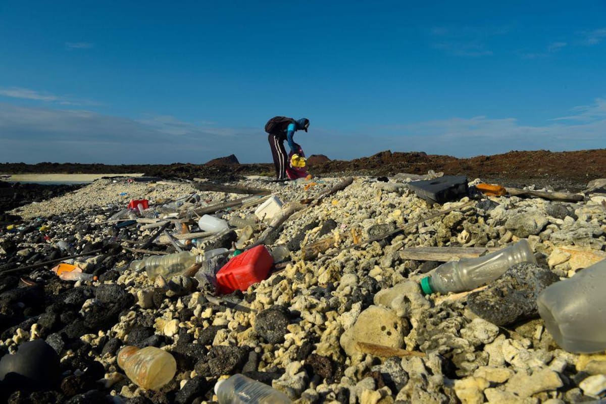 Islas Galápagos. Foto: EFE.
