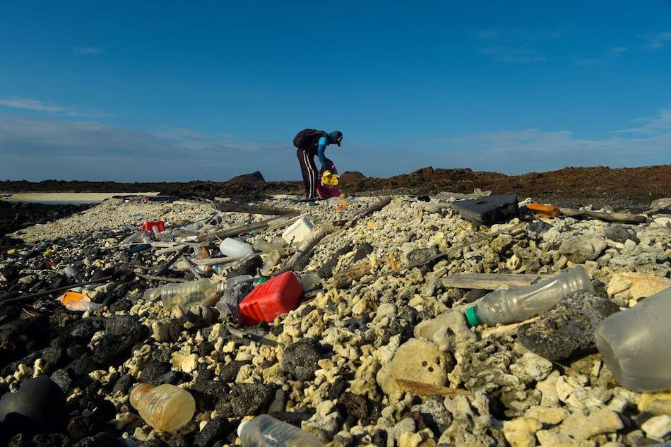 Islas Galápagos. Foto: EFE.