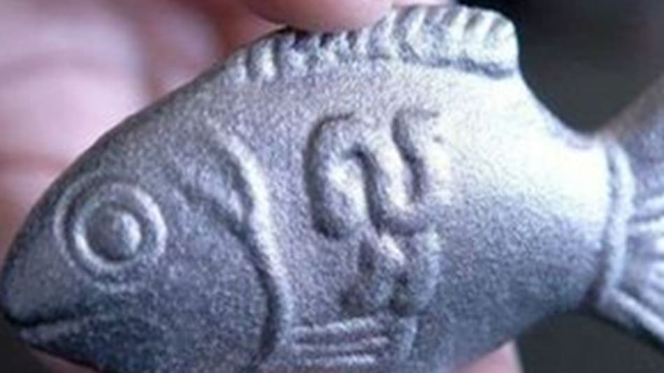 Pez de hierro