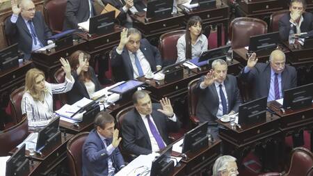 Senadores oficialistas votan durante el tratamiento del proyecto de ley sobre Emergencia Alimentaria, NA