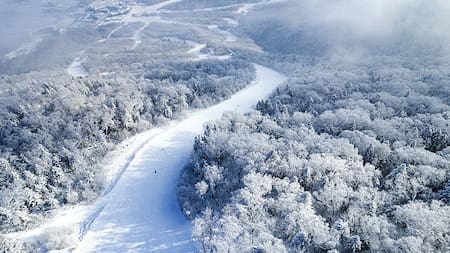 El mejor lugar para esquiar no está en Sudamérica: el impresionante tren bala rumbo a una de las bases más importantes para practicar el deporte