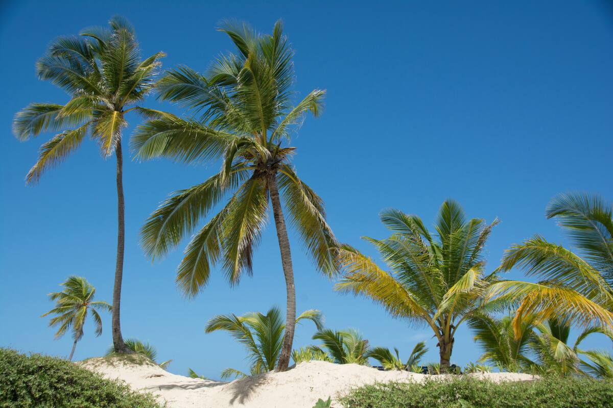 Punta Cana. Foto: Unsplash