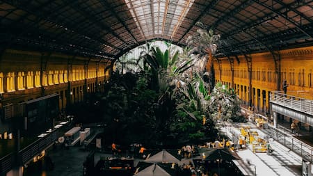 La Estación de Atocha: la histórica puerta ferroviaria de Madrid que esconde un sorprendente jardín botánico en su interior