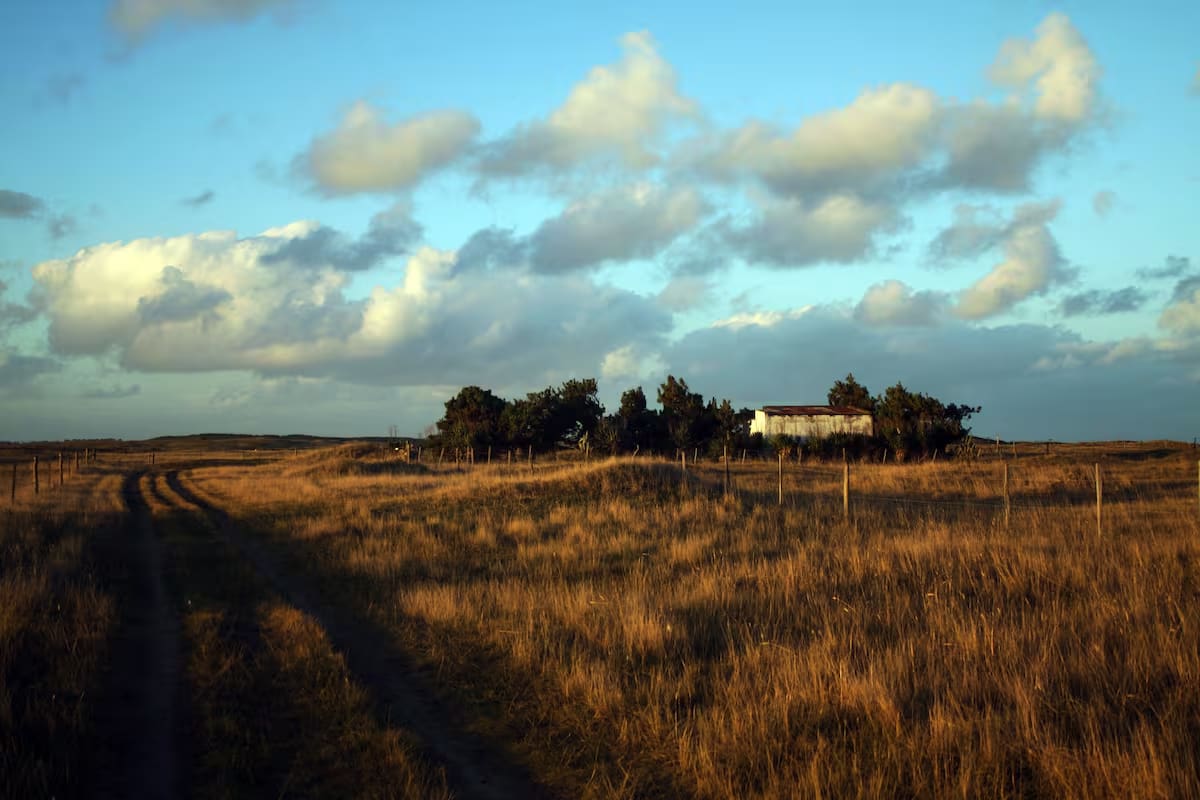 Campos de El Remanso en Mar del Sud