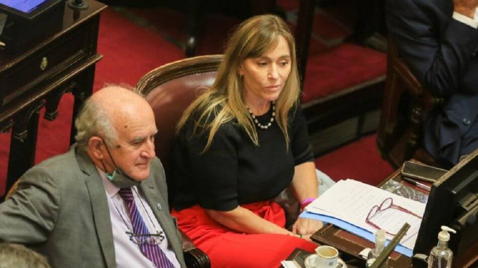 Oscar Parrilli y Juliana Di Tullio, kirchnerismo, Senado, NA